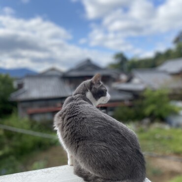 くうちゃんお空から見てくれてるね！