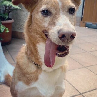 ジェイク新しい家族ができました！