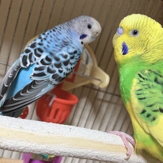 沢山のご応募ありがとうございました。