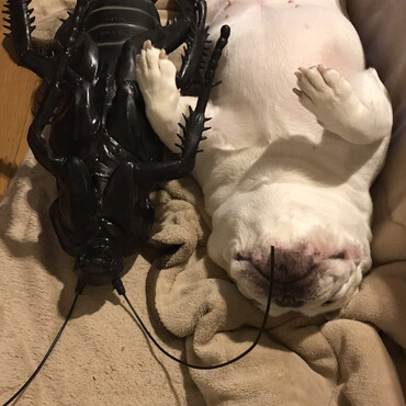 ANDYとベーちゃん！
