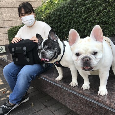 じゅりさんとベーちゃん、ぴっぴくん！