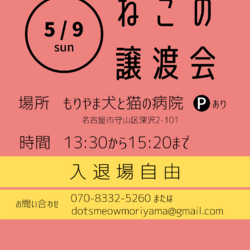 ◌名古屋市守山区◌猫の譲渡会