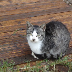 "みいちゃん”のお母さんやおばあちゃん