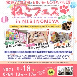 ねこフェス!保護ねこ譲渡会inにしのみや
