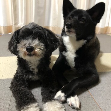 の写真