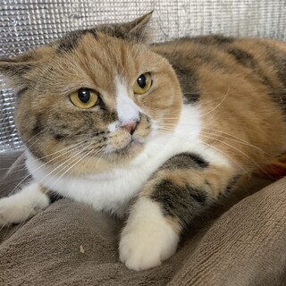 新しい家族が決まりました