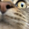 つーびーわん