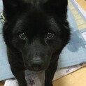 素敵な家族に巡り会えました