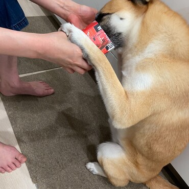 ヨーグルト大好き