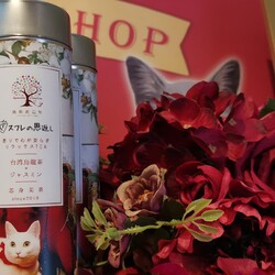 ねこフェス!保護ねこ譲渡会inにしのみや サムネイル3