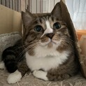 ワンちゃんかと思う人懐こさ、麻呂くん