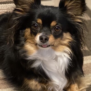 応募多数のため、一旦受付中止させて頂きます。