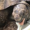 タラとソラ