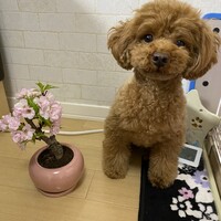 鎌田るな