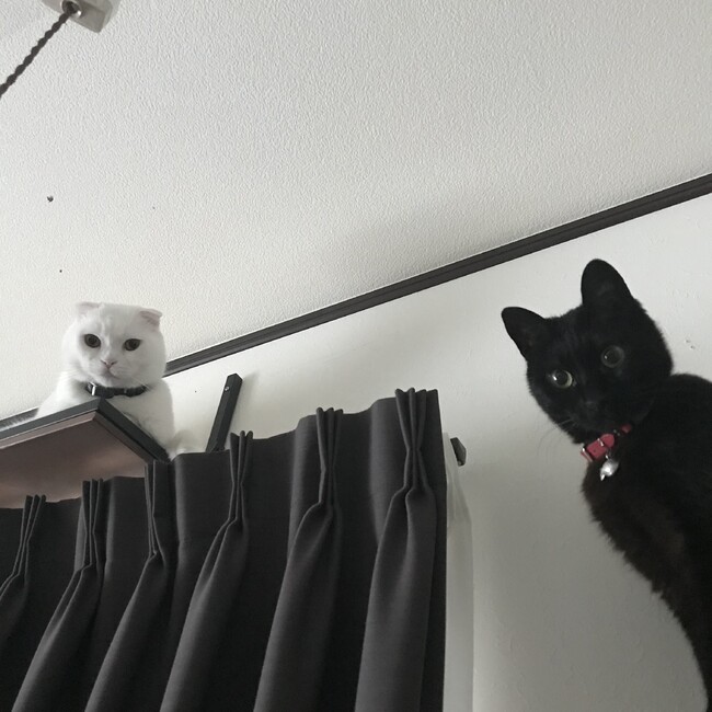 たろは7のカバー写真