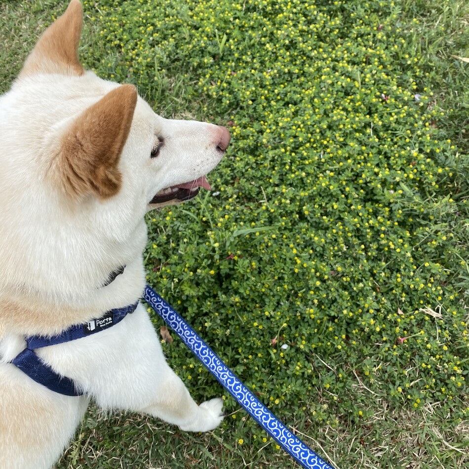 諭吉のカバー写真