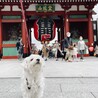 一歳半になりました♪