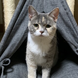 ヘソ天ゴロゴロ最高に甘えん坊な女の子❤️