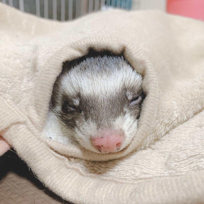 m77552のカバー写真