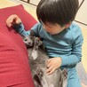 ぜんままちゃんさん
