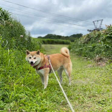 の写真