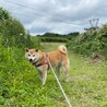 の写真