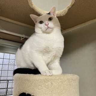 優しく見守っていただけませんか