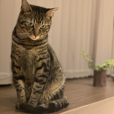 の写真