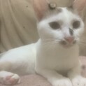 このこの愛をうけとめて！超甘えん坊女の子