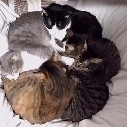 ４月１８日放送　スクール革命