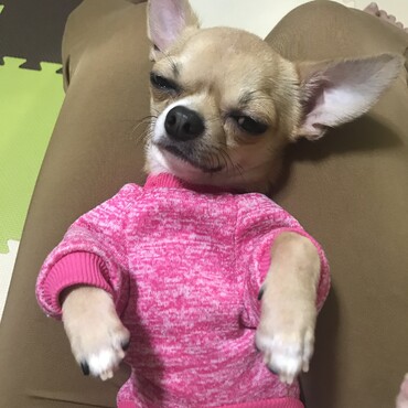 の写真