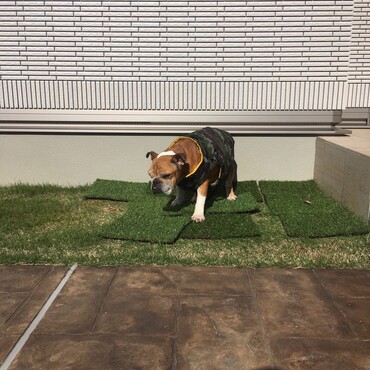 の写真
