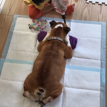 の写真
