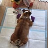 の写真