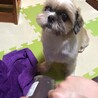 の写真