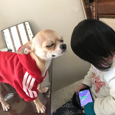 の写真