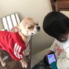 の写真