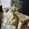 とっても落ち着きのある美人★まりあちゃん★