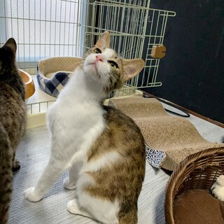 とっても落ち着きのある美人★まりあちゃん★