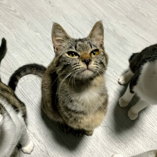 とっても甘えん坊★りりちゃん★