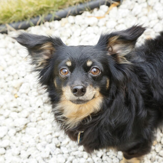 良いご縁に繋がりました