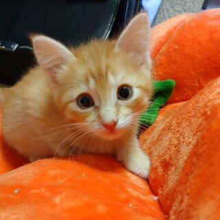 素敵なご縁に恵まれました！