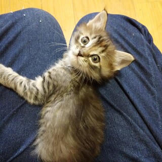 素敵なご縁に恵まれました！