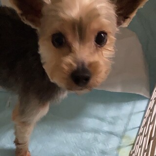 一旦募集停止　パーマンくん❣️