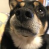 お久しぶりです、僕は元気です！