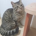 一時、募集停止中。