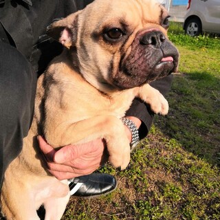 ちょっとビビリのライムくん