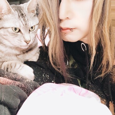 の写真