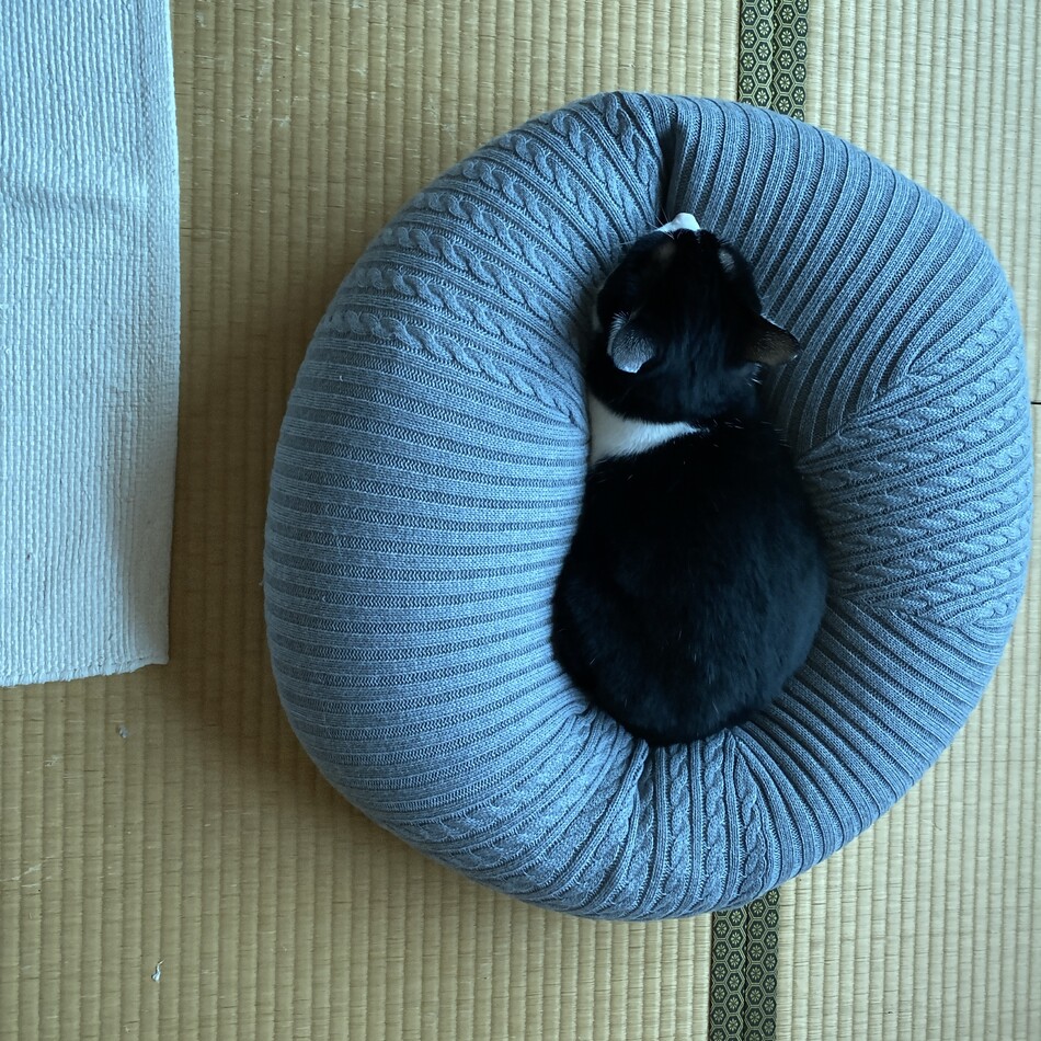 ホクロのカバー写真