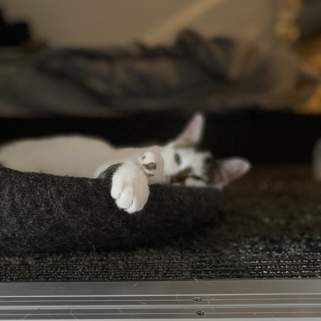 みさんちぇ。のカバー写真